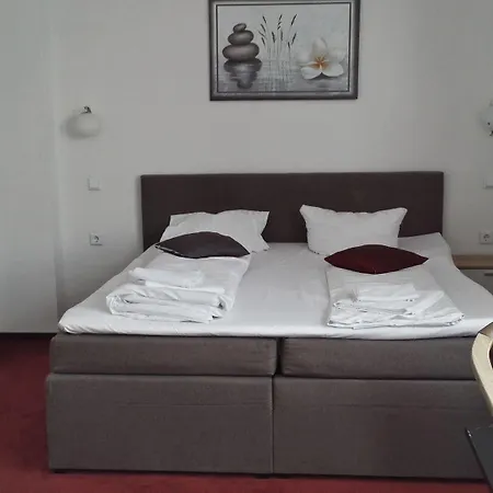 Hotel Continental Koblenz 3*